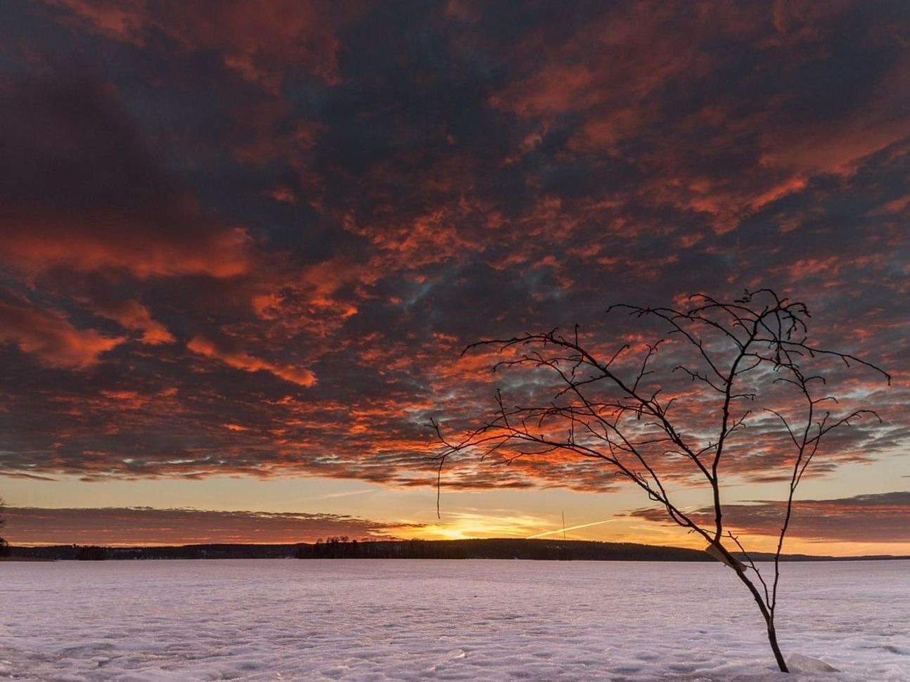 Una línea de costa vista a primera luz sobre el hielo